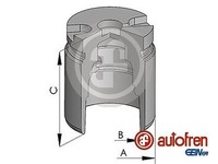 Autofren Seinsa D025441 Kolben, Bremssattel FüR Nissan, Opel, Renault, Vauxhall