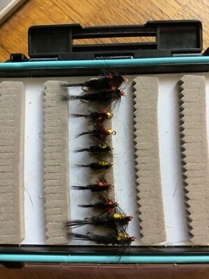 10 x AUSWAHL MONTANAS NYMPHE STONEFLY FORELLENANGELN FLIEGEN VON AQUASTRONG (32A)