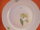 Foto 2 di 6