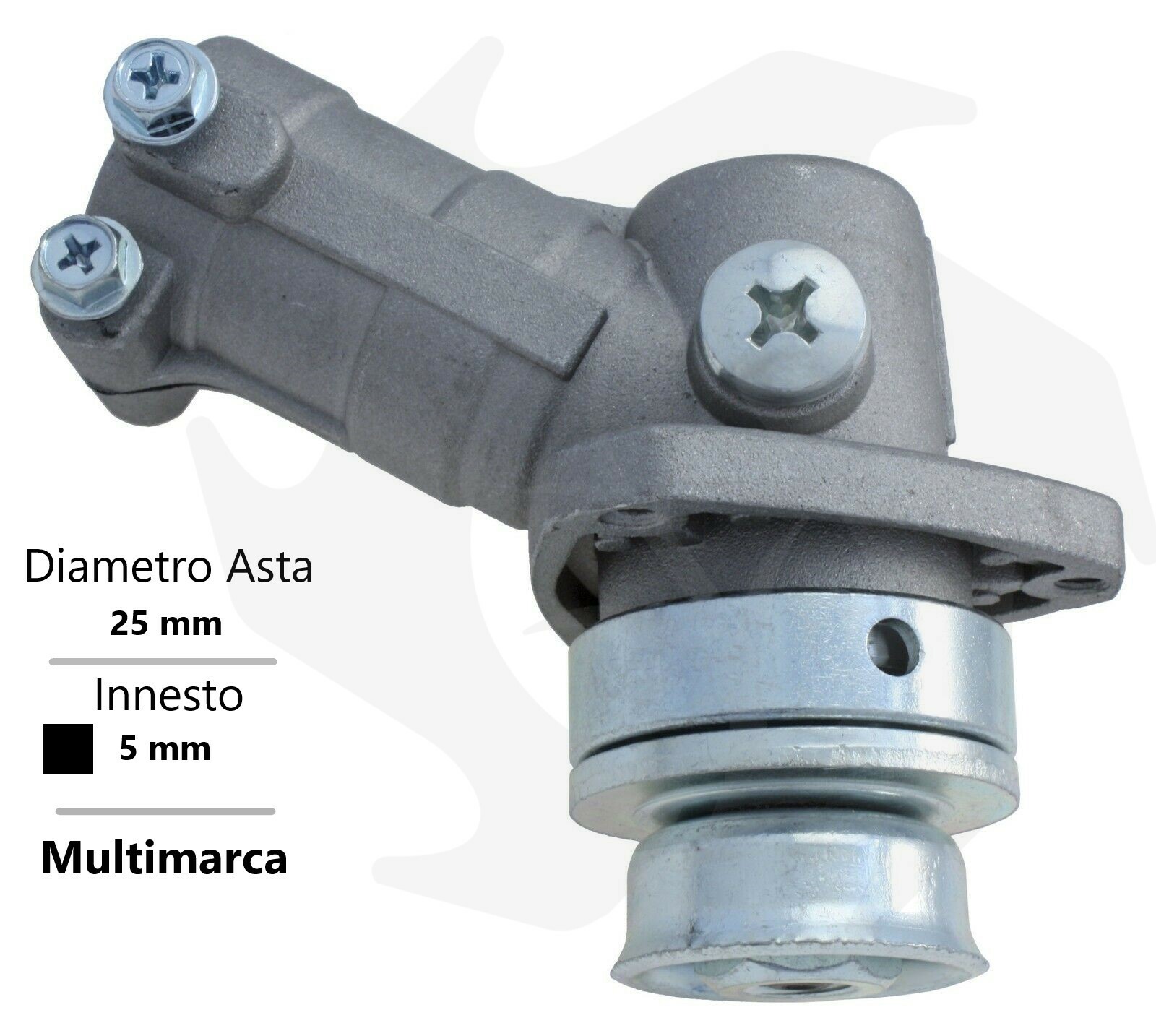 Imagen 1 de 1