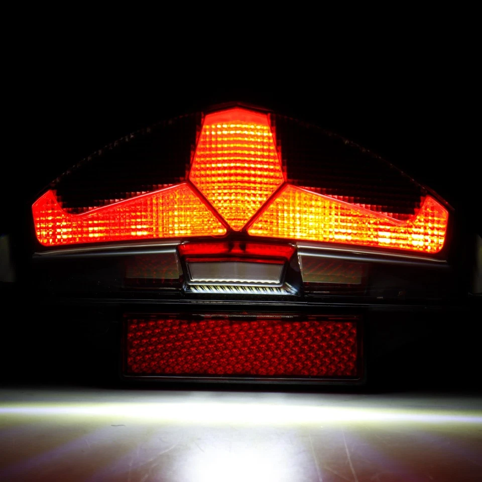 Lámpara de freno trasera LED luz trasera señal de giro indicador de flash para BMW G650GS/Sertao Foto 2 de 4