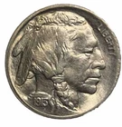 1913 Type 1 Buffalo Nickel 5C MS+