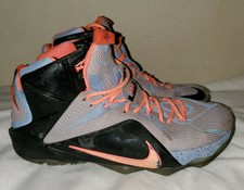 lebron james shoes 2014