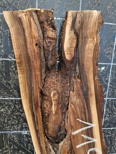 ITALIAN WALNUT LIVE EDGE SLAB KILN DRIED HARDWOOD (1190) 930x170-220 x30mm - Picture 8 of 11