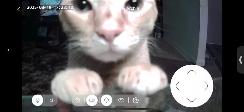 4MP 360° Indoor Smart Security Camera – Pan/Tilt, Alexa & Night Vision - Image 4 of 4