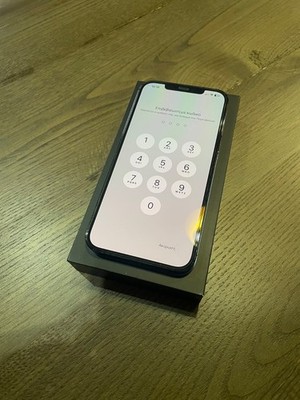 Apple iPhone 12 Pro Max - 256 GB - Pacific Blue (Unlocked)