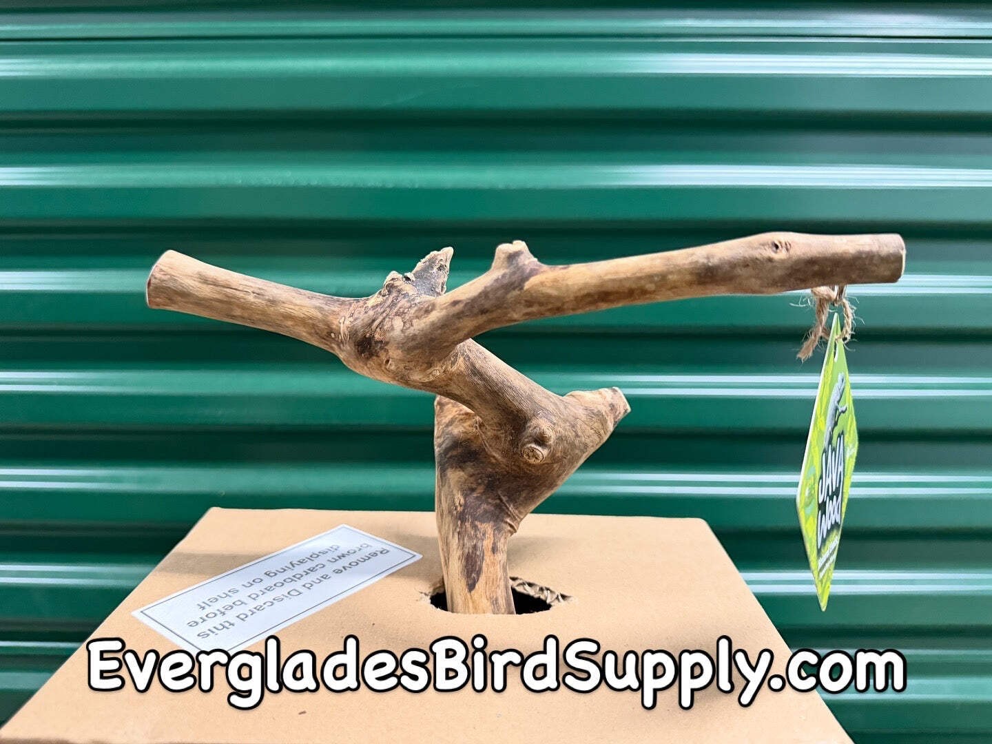 Company X-small Natural Java Wood Table Top Bird Play Stand 