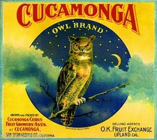 Cucamonga Upland Owl Brand Bird Orange Citrus Fruit Crate Label Art Print