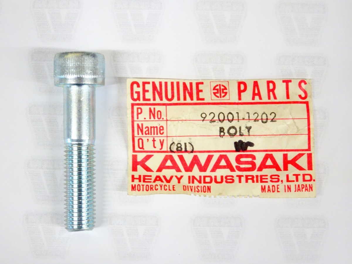 Kawasaki NOS NEW 92001-1202 Socket Bolt 10x45 KX KX420 KX250 | eBay