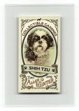 2019 Topps Allen & Ginter #CC-22 Shih Tzu Collectible Canines Minis