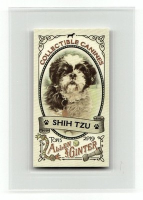 2019 Topps Allen & Ginter #CC-22 Shih Tzu Collectible Canines Minis