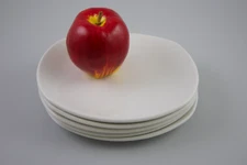 5 Steelite International England Oval Rectangular White Luncheon Salad Plates