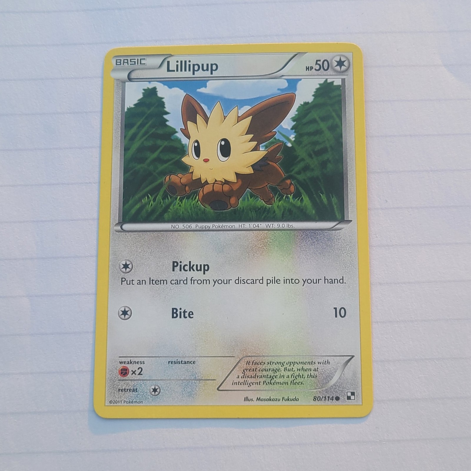Pokémon LILLIPUP 80/114 Black & White Near Mint