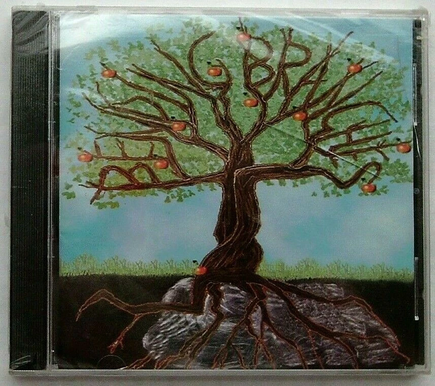 Christian - Bending Branches CD Ships WITH or WITHOUT Case