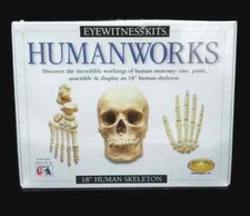 Eyewitness Human Works 18" Human Skeleton Kit New Factory Sealed Free Ship