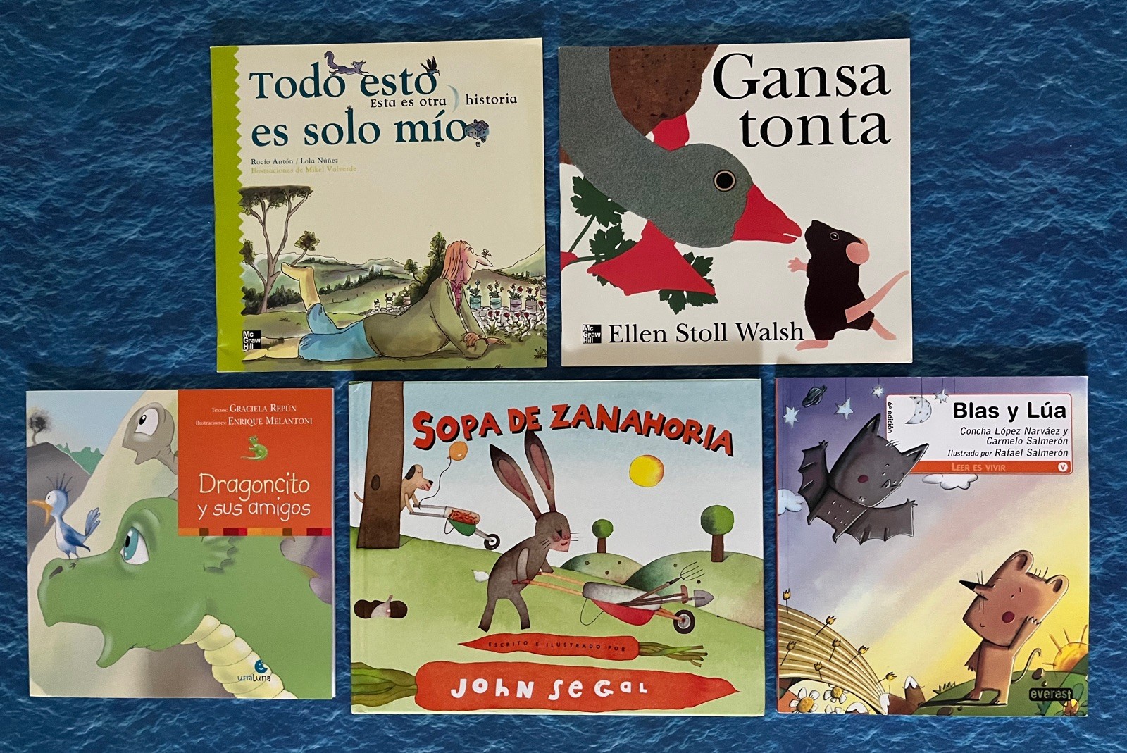 Lot of 5 Spanish Children’s Books - Gansa Tonta, Todo Esto es Solo mío + 3 more