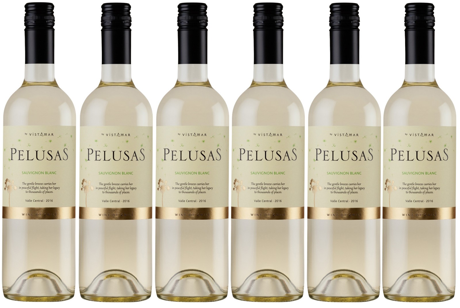 Pelusas Chilean Sauvignon Blanc (6 x 750ml - 12.5%)