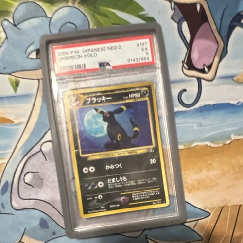 Pokémon Umbreon Crossing the Ruins... 2000 Holo #197 Japanese PSA 5