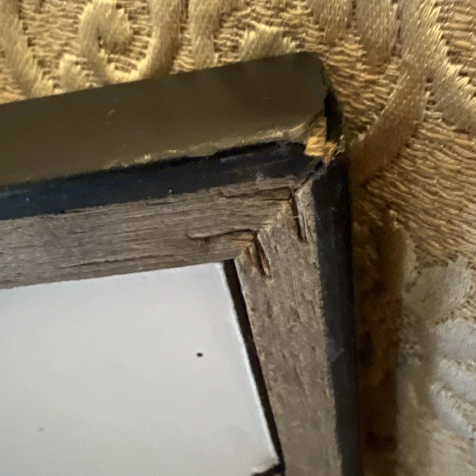 Impresión fotográfica firmada por Rick Buchanan enmarcada grande - Aspen Abstract Colorado Foto 4 de 4