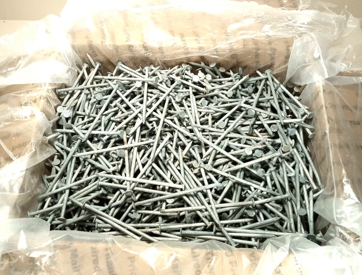 Grip Rite 3 1 4 in 12D E.G. Box Framing Nails Electro Galvanized