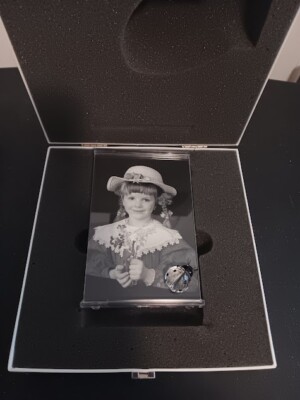 Swarovski Crystal Lady Bug 6'' Picture Frame - NIB