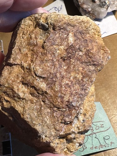 GOLD  BRAZIL ORO FINO Hot springs Deposit In Substrate 8.8 Oz