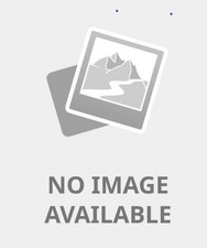 Past Perfect Life, Eulberg, Elizabeth, Good Book