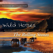 Image of Judson Mancebo Wild Horses: Relaxing Instrumental Renditions of Songs By th (CD)