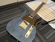 Schecter Progauge Series Telecaster Electric ...