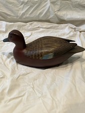 Fred Destri (selten) Cinnamon Teal