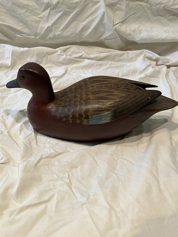 Fred Destri ( rare) Cinnamon Teal