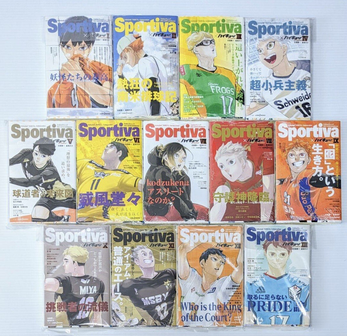 Haikyuu Sportiva Limited Novel Version Complete set 13 Volleyball