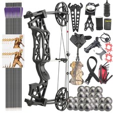 Dual-Use Compoundbogen Set 40-65lbs Stahlkugeln Pfeilen Schießen Jagd LH RH 