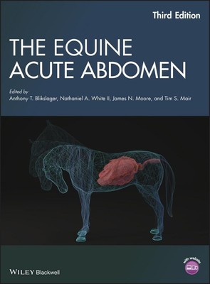 The Equine Acute Abdomen | Anthony T Blikslager (u. a.) | Buch | 904 S. | 2017