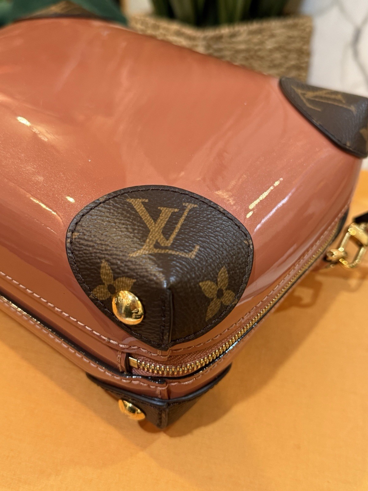 Louis Vuitton Venice Shoulder Bag  Monogram/Pink Leather/Canvas image 9