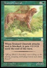 Trained Cheetah - Heavy Play MTG Portal Three Kingdoms