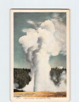 #ad Postcard Giant Geyser Yellowstone National Park Wyoming USA $4.95