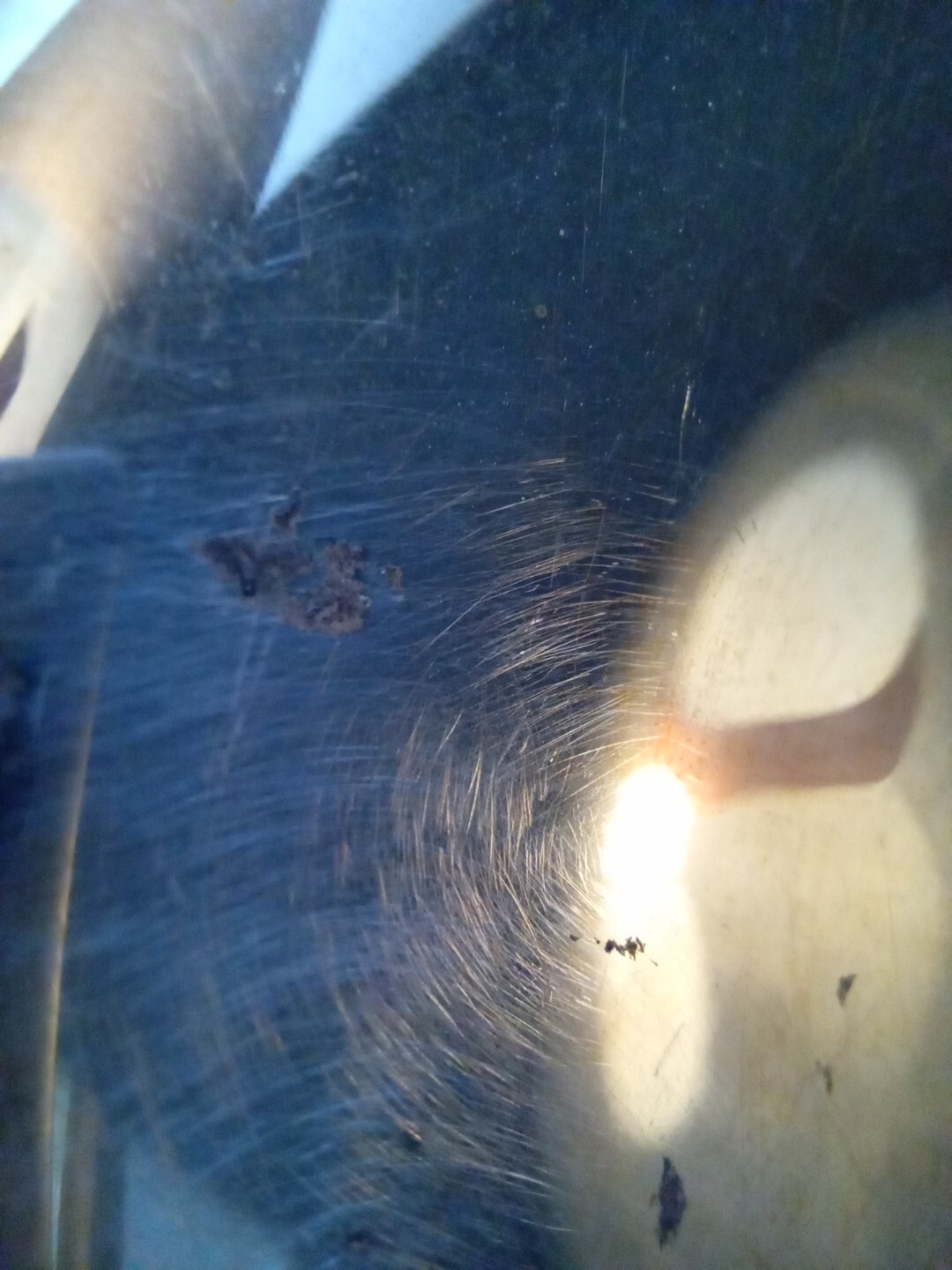 Picture 10 of 10