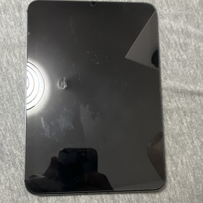 Apple iPad mini 6 generation LTE 256GB 8,3 Zoll Grau USB C Tablet mit Touch ID