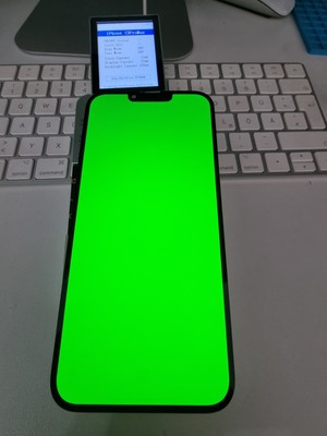Original iPhone 13 Pro Max Display OLED Ref Glas Neu