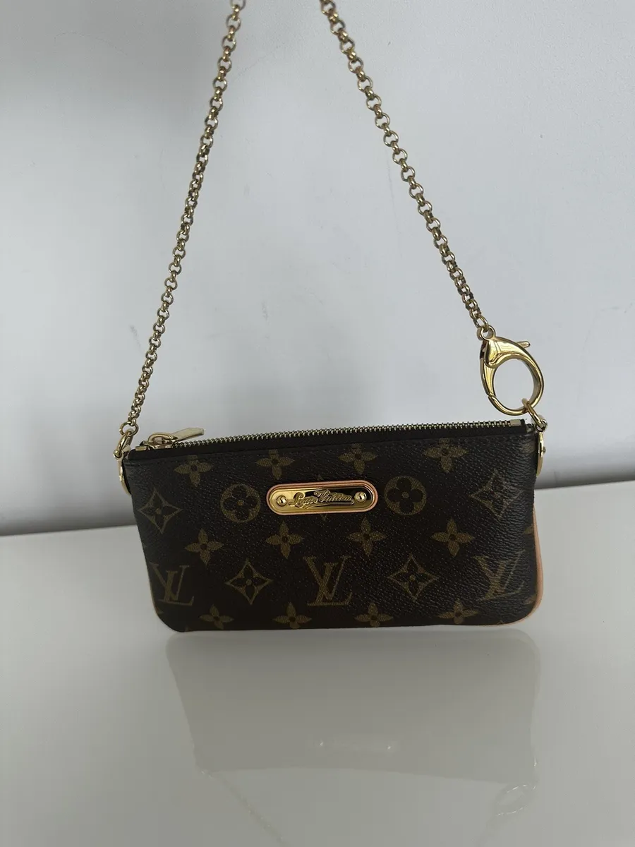 Louis Vuitton mini bag