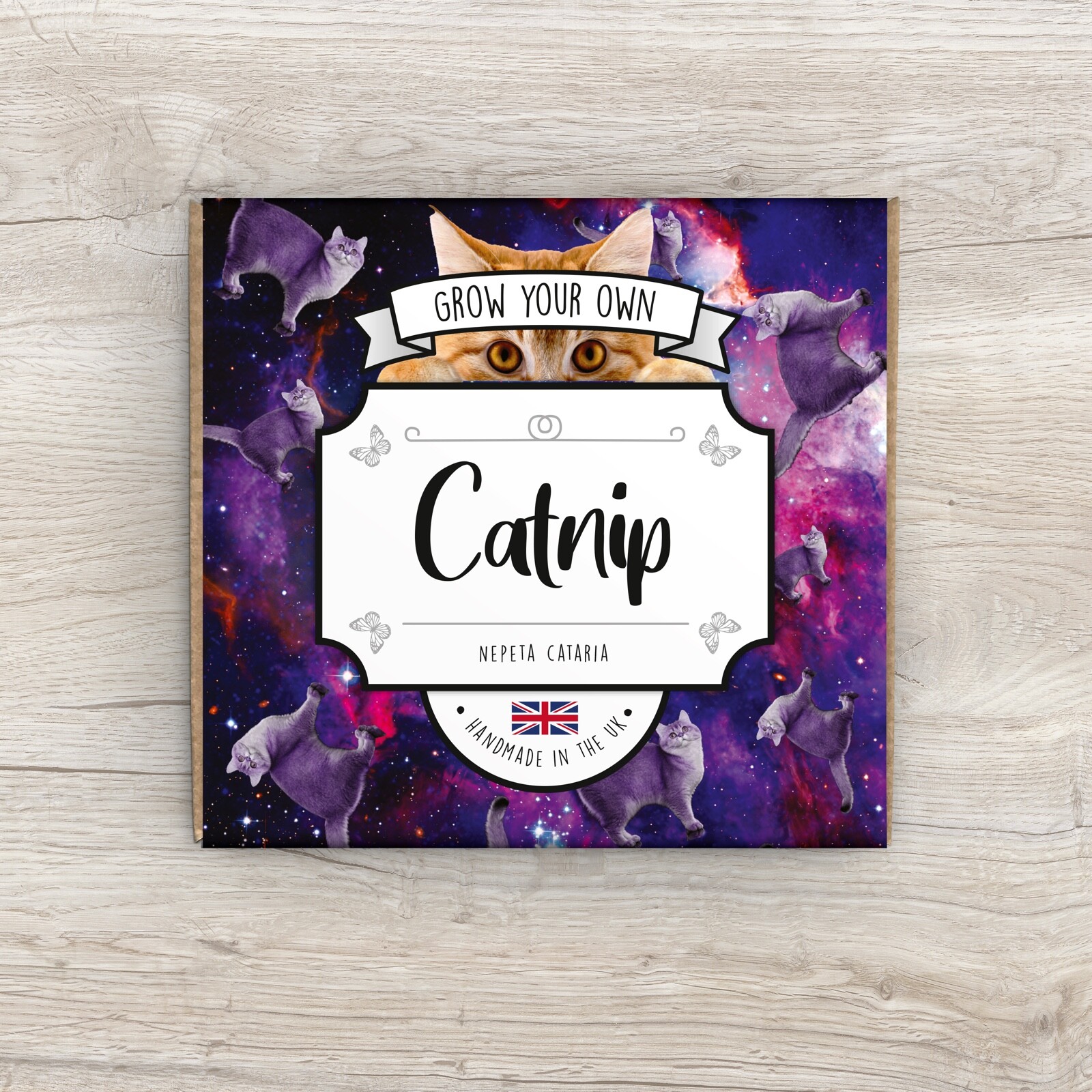 Grow Your Own Catnip Kit - Handmade in the UK - Seeds Guaranteed