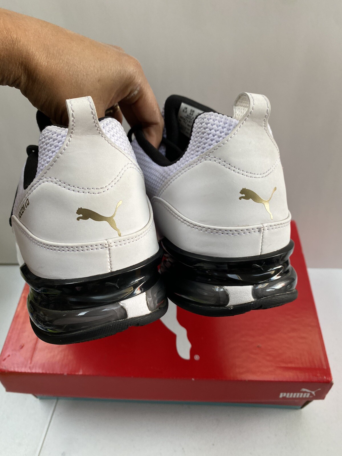 puma cell regulate sl