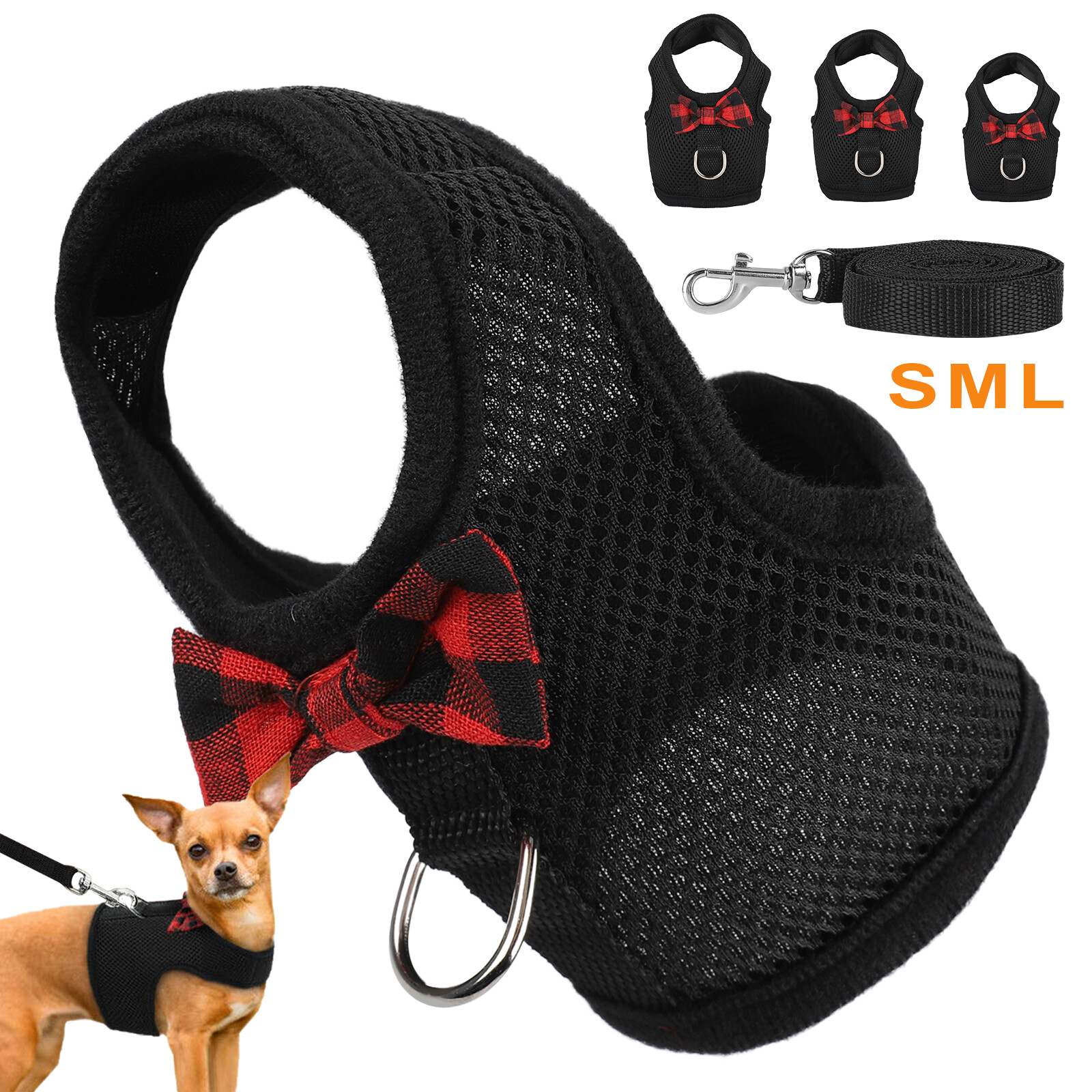 guinea pig collar and leash