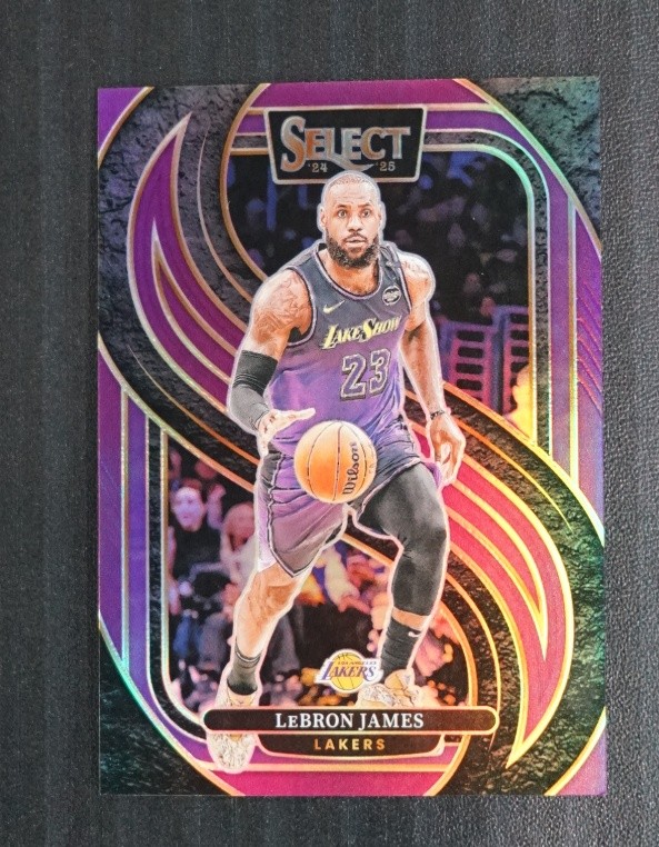 LeBron James 2024-25 Panini Select Premier Level Purple Prizm 36/99 #111