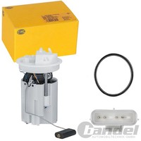 Hella KRAFTSTOFF-FÖRDEREINHEIT Kraftstoffpumpe Passend FüR Ford Fiesta | 8TF 358