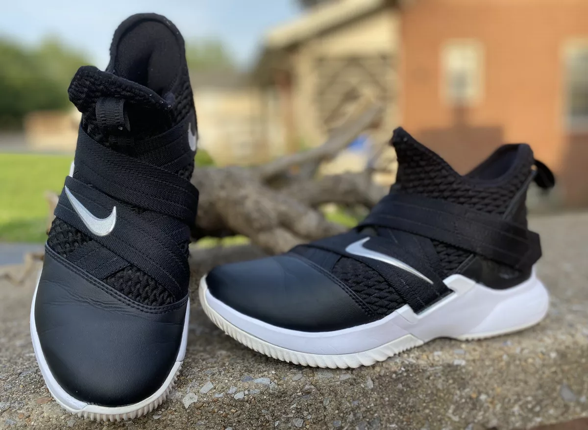 Lebron james shoes sales 12 price