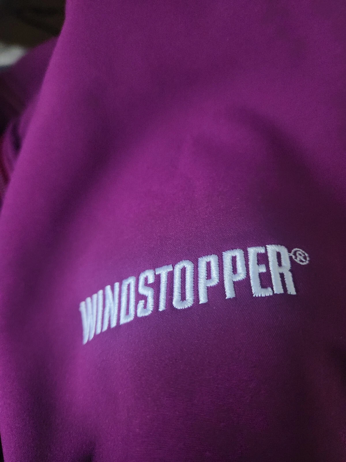 Felpa con cappuccio FW21 Supreme GORE WINDSTOPPER S Small resistente all'acqua