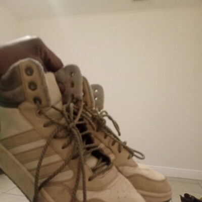 adidas Hoops Winter Mid Magic Beige