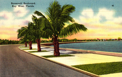 Key West FL-Florida Roosevelt Boulevard Vintage Postcard Souvenir Postal Post L7
